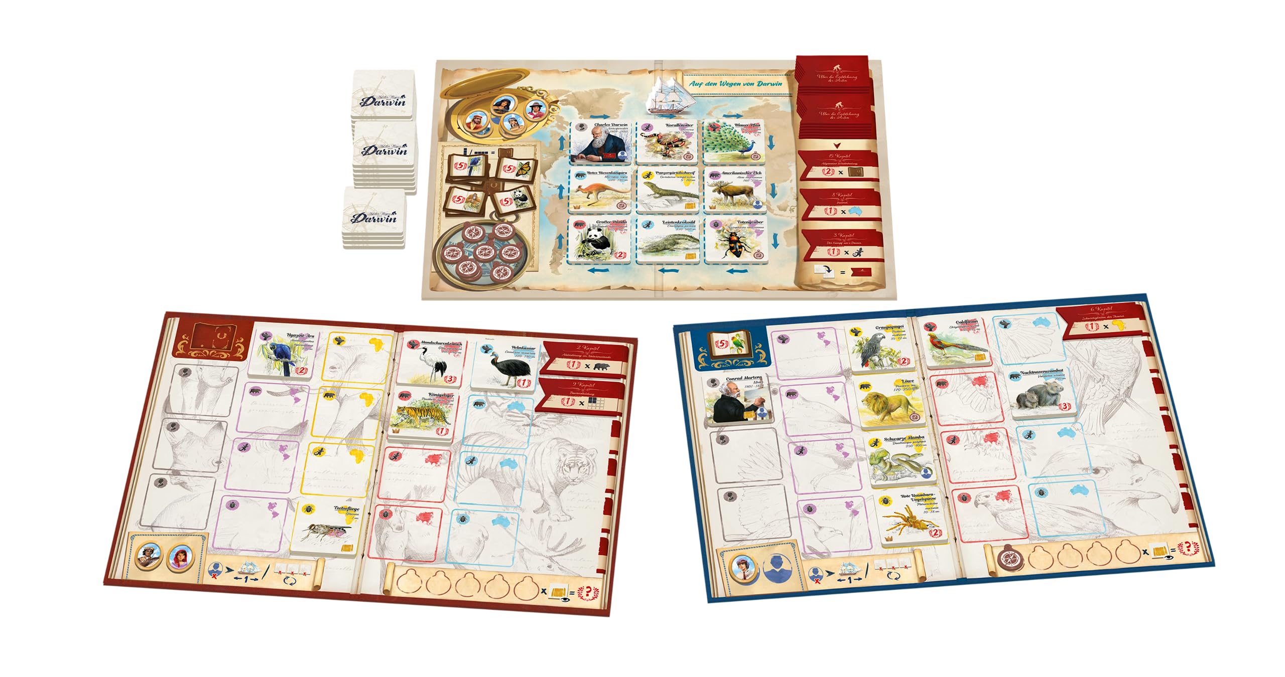 auf-den-wegen-von-darwin-familienspiel-deutsch-tiere-2-5-spieler image 5