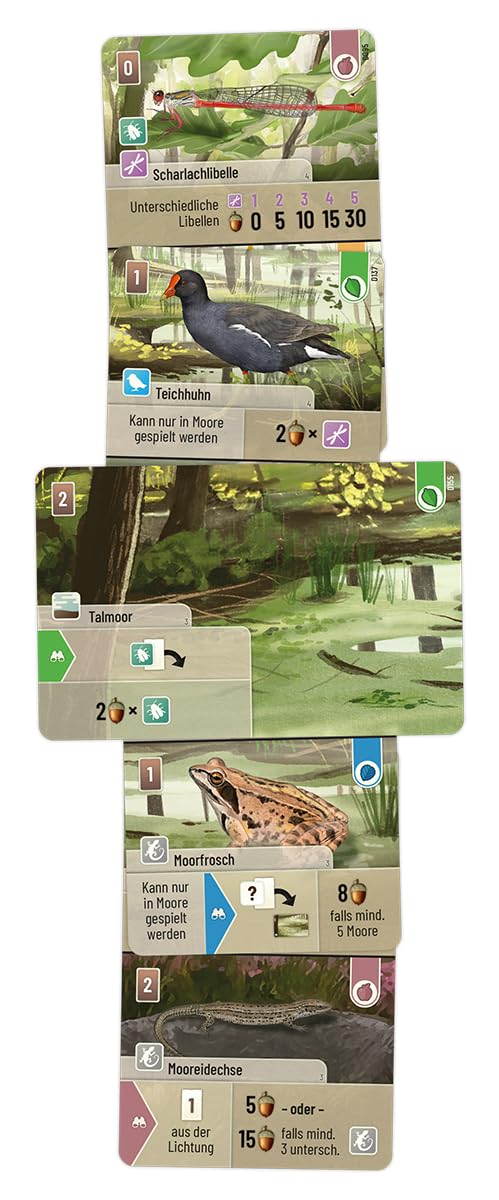 mischwald-dartmoor-grundspiel-deutsch-kennerspiel-2-5-spieler image 6