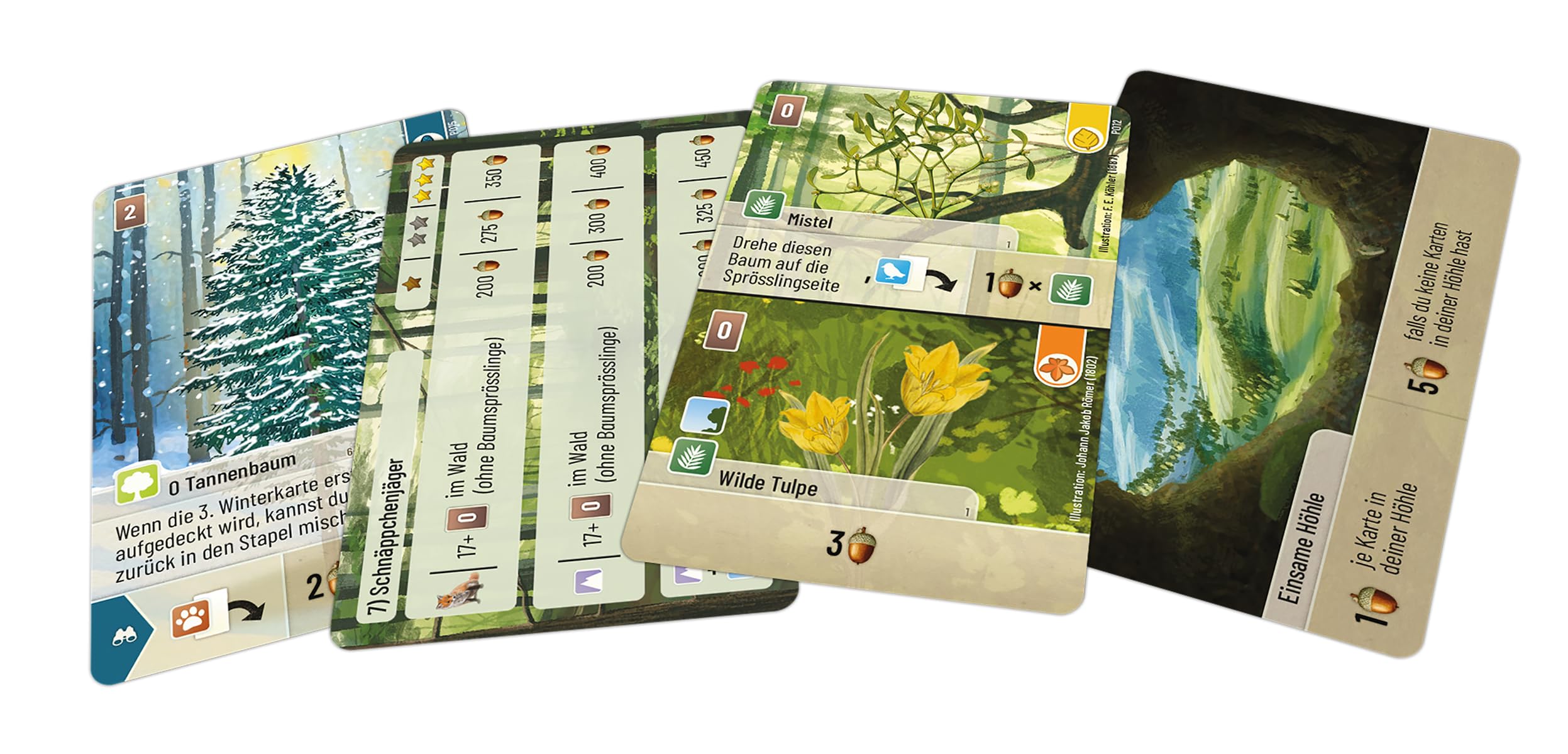 mischwald-entdeckungen-erweiterung-kartenspiel-deutsch-1-5-spieler image 5