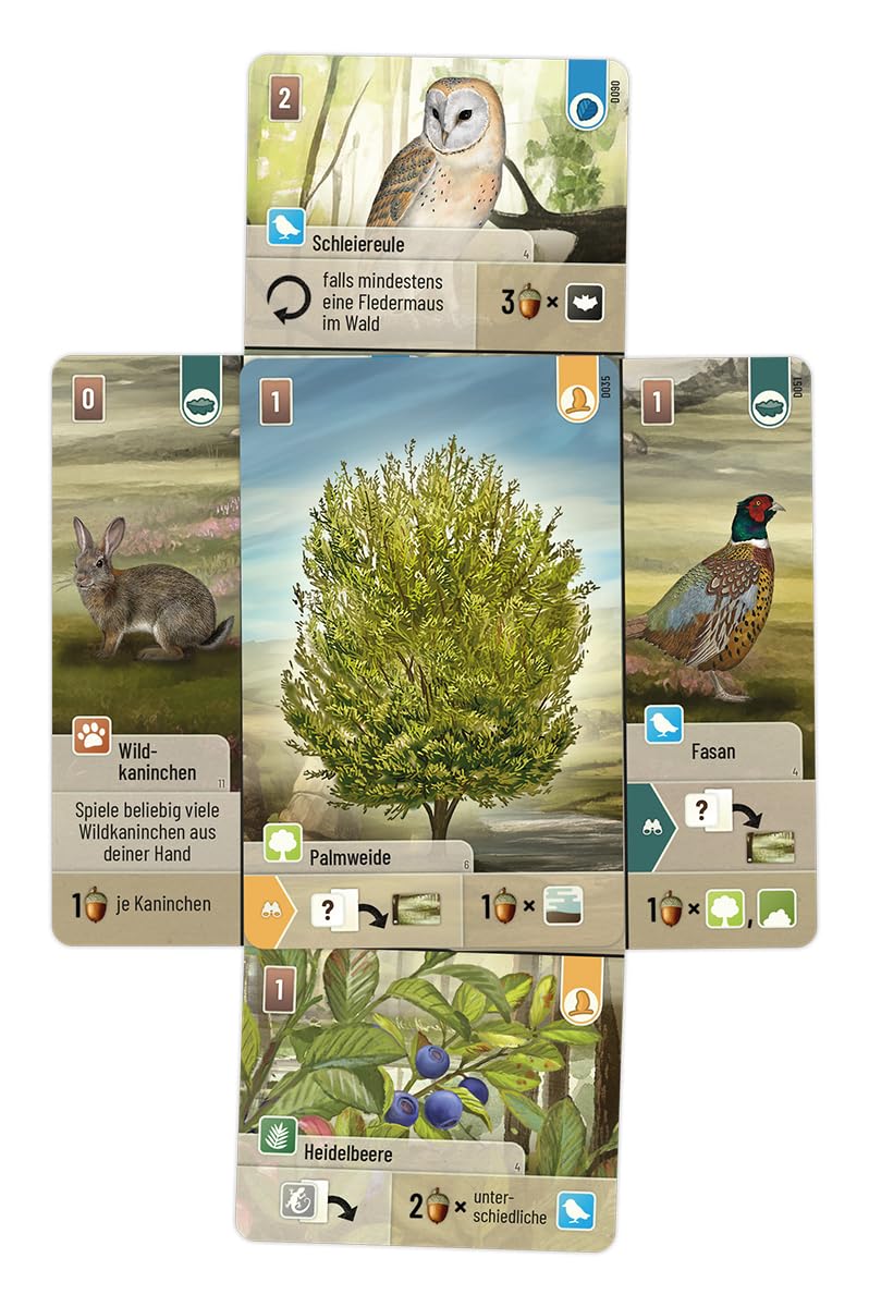 mischwald-dartmoor-grundspiel-deutsch-kennerspiel-2-5-spieler image 3