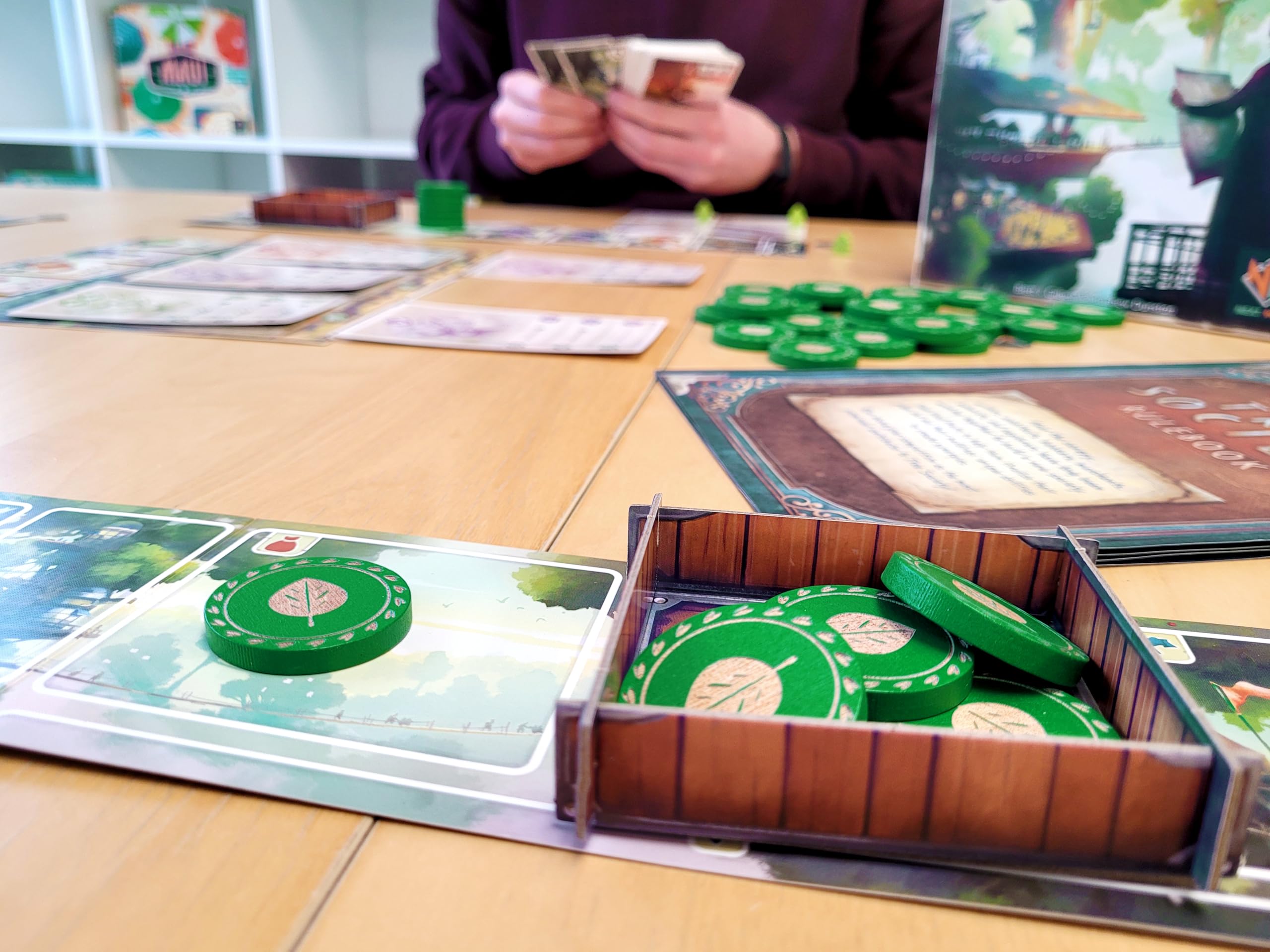 asmodee-tree-society-familienspiel-deutsch-2-4-spieler image 5