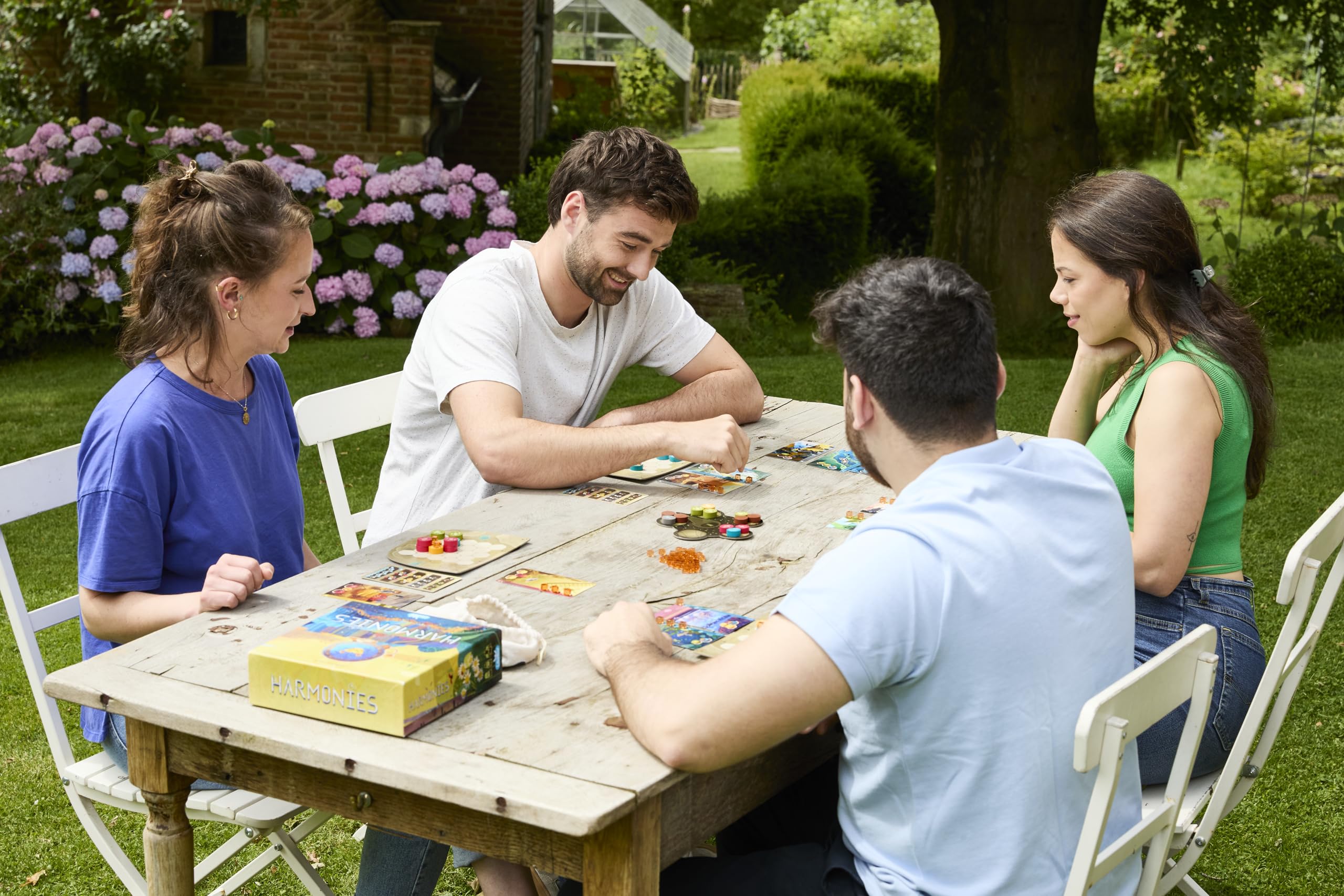 libellud-harmonies-strategie-familienspiel-deutsch-1-4-spieler image 8