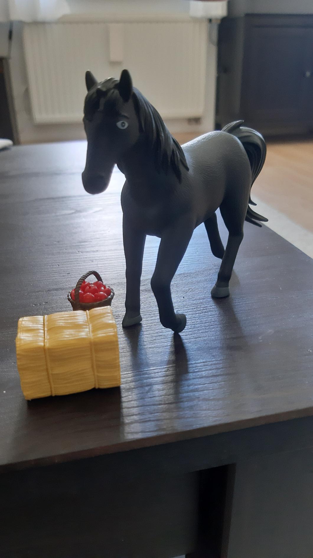 Lieblingspferd