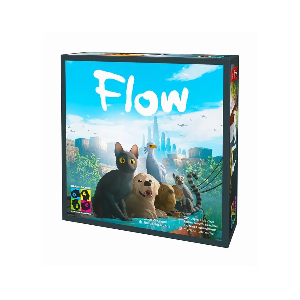 brain-games-flow-familienspiel-kooperativ-1-6-spieler image 1