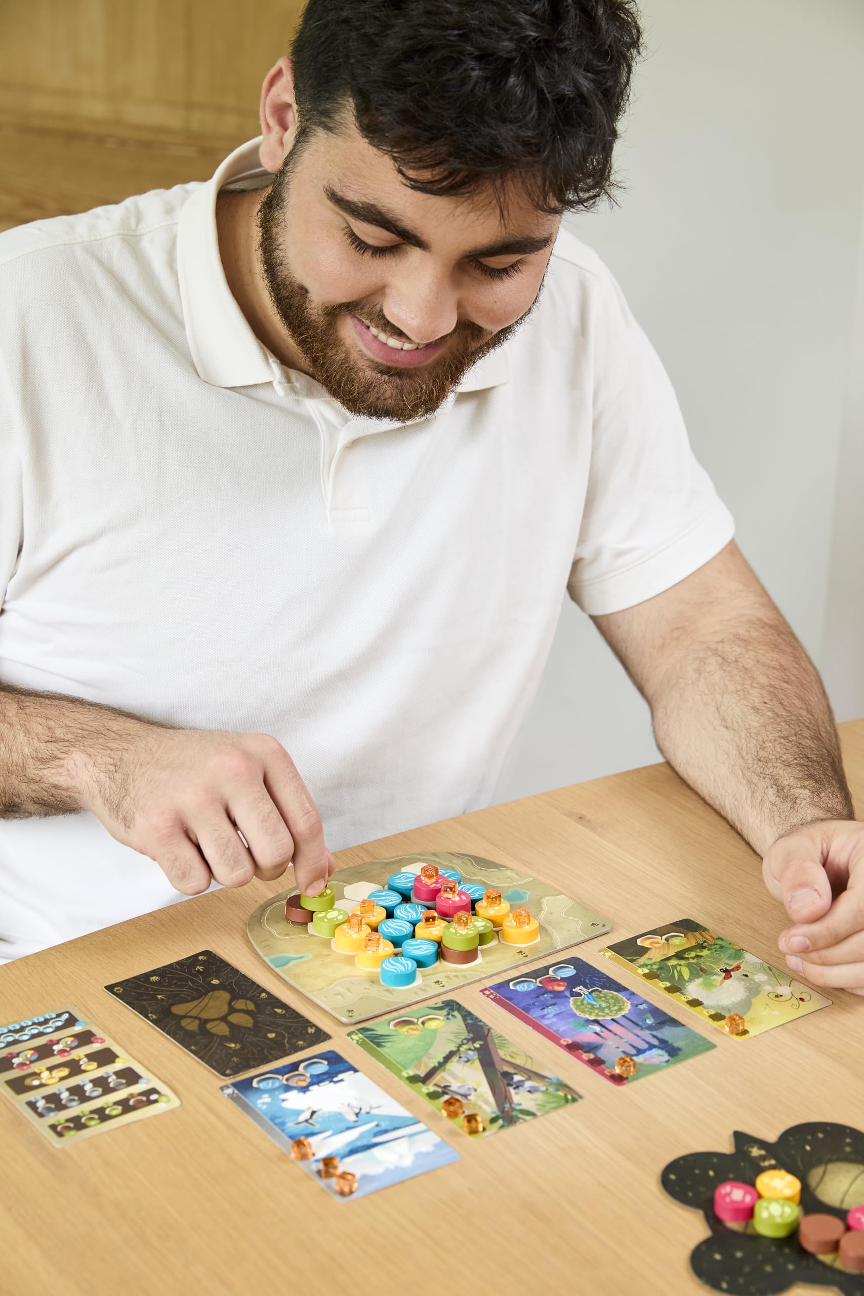 libellud-harmonies-strategie-familienspiel-deutsch-1-4-spieler image 7