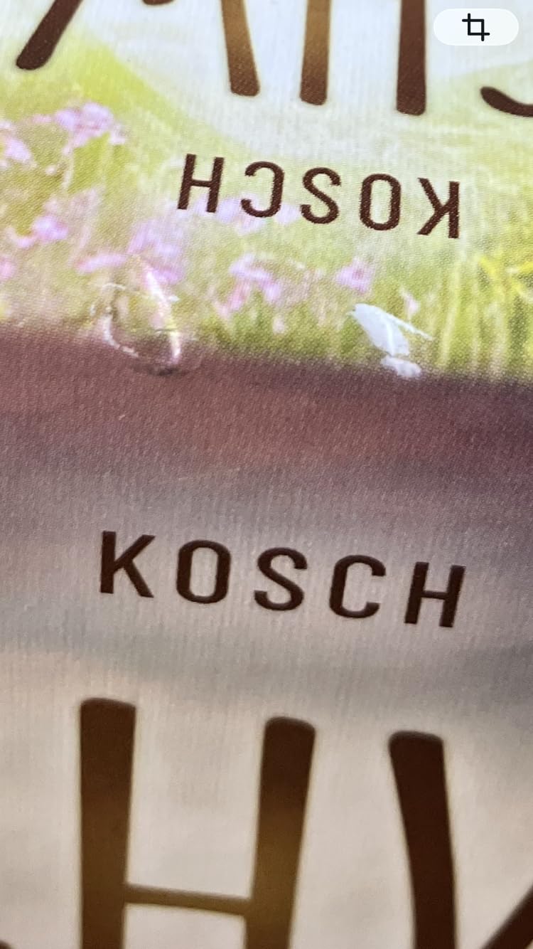 Ganz okay